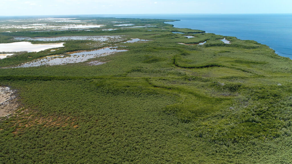 bluemx projecthero lagunadeterminos gulf full dji 0127