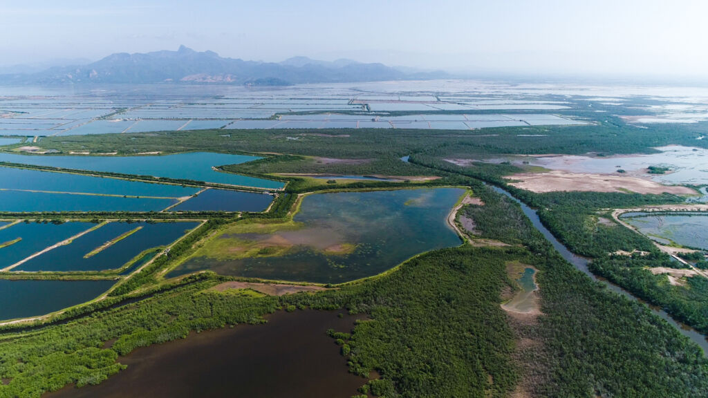 bluemx projecthero nayarit northpacificcoast dji 0759 2